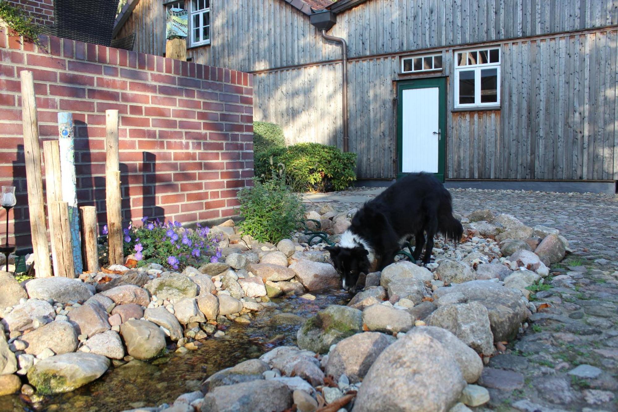 Landgasthof Wildwasser Wolthausen エクステリア 写真
